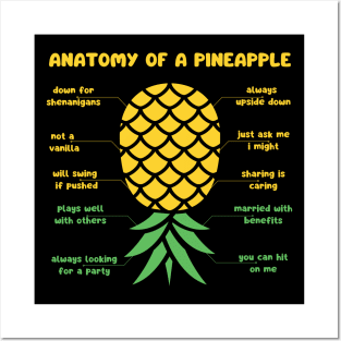 anatomy of a pineapple Posters and Art